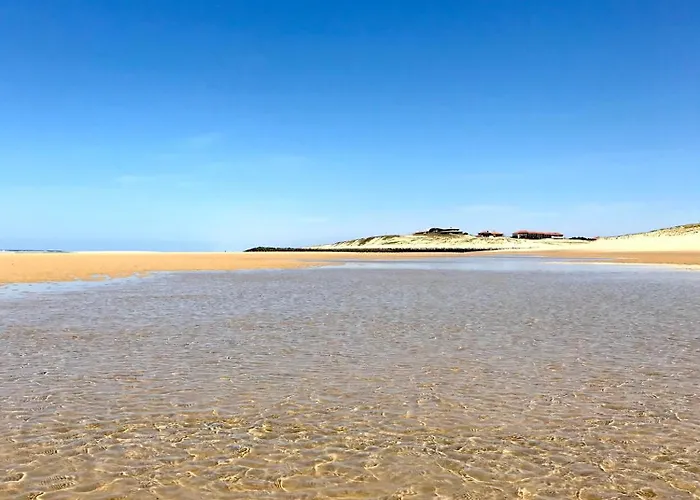 Vue Phare - Au Coeur De Contis * Saint-Julien-en-Born