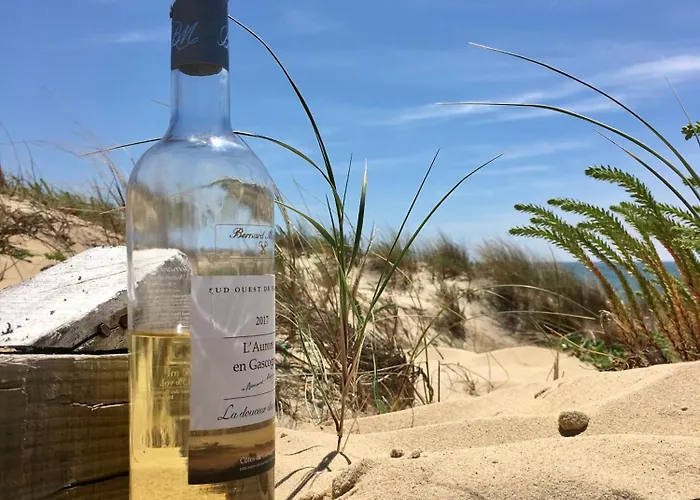 Vue Phare - Au Coeur De Contis *