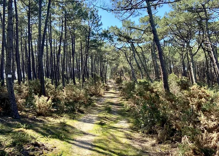 Vue Phare - Au Coeur De Contis *