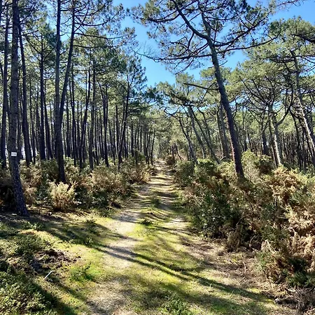 Vue Phare - Au Coeur De Contis *